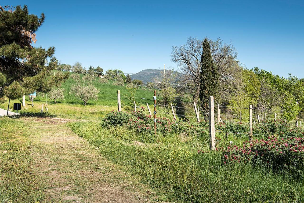 A11 - Varano, Delizioso Trilocale Con Giardino Ancona Exterior photo